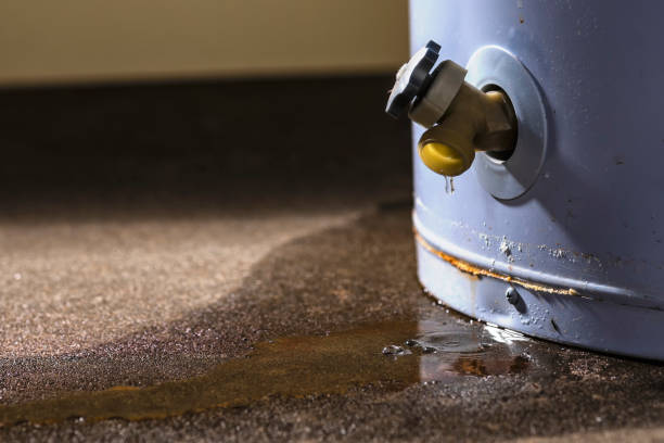 Best Water damage contractors near me  in Zion, PA