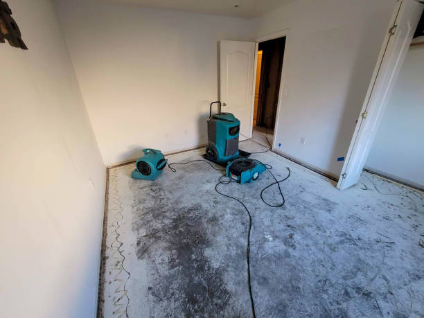 Best Sewage cleanup and water damage restoration  in Zion, PA