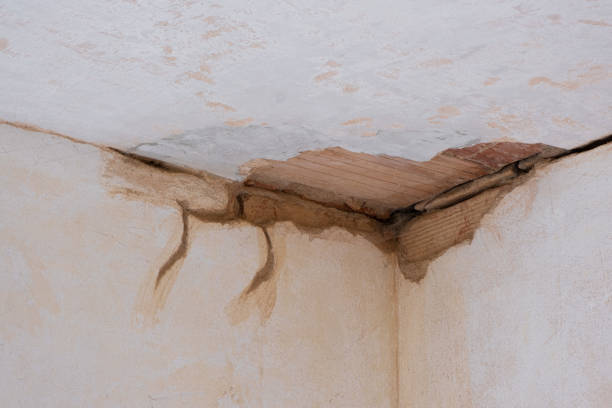 Best Mold removal after water damage  in Zion, PA
