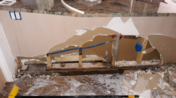 Best Basement water damage restoration  in Zion, PA