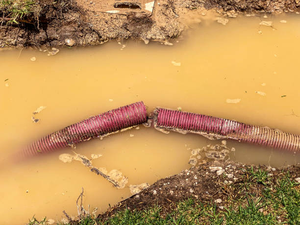 Best Emergency water extraction  in Zion, PA