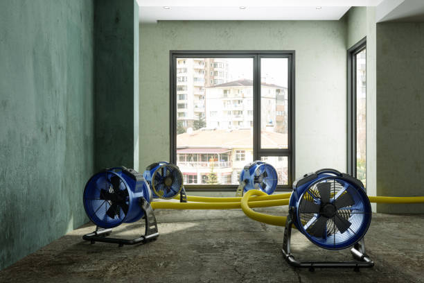 Best Water damage restoration near me  in Zion, PA