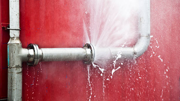 Best Professional water damage repair  in Zion, PA