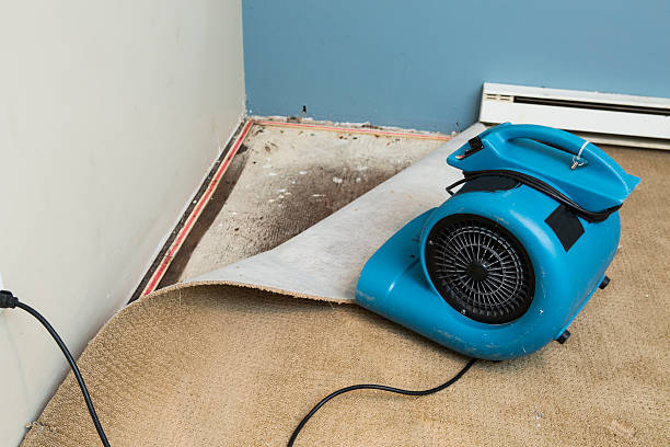  Zion, PA Water damage restoration Pros